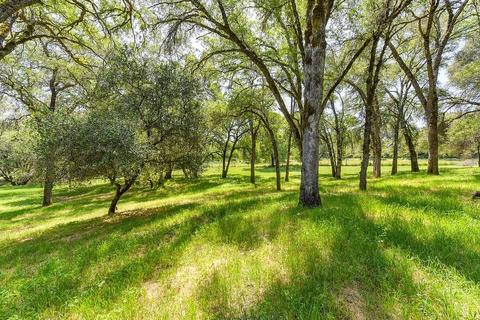 1380 Lower Lake Dr, Placerville, CA 95667 photo 38