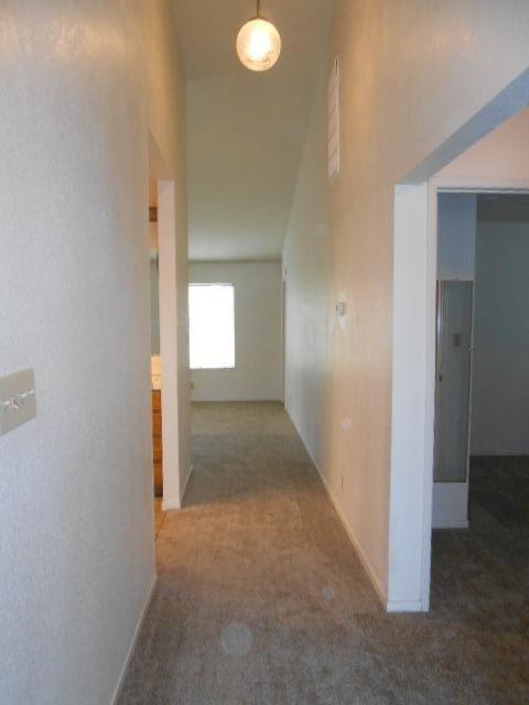 532 Forrest Ave, Lodi, CA 95240 photo 15
