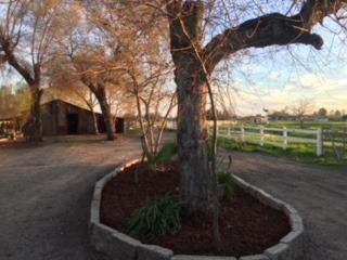 1120 Murphy Rd, Olivehurst, CA 95961 photo 31