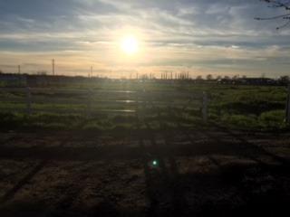 1120 Murphy Rd, Olivehurst, CA 95961 photo 11
