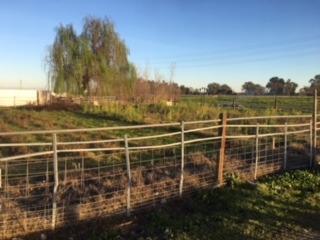 1120 Murphy Rd, Olivehurst, CA 95961 photo 29