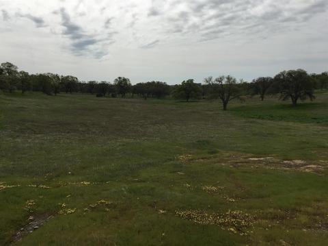 4117 Burson Rd, Burson, CA 95225 photo 4