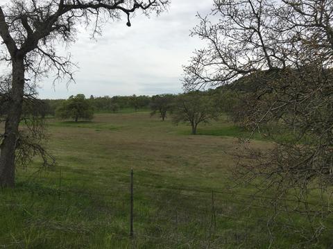4117 Burson Rd, Burson, CA 95225 photo 1