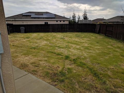 1234 Camilla Ct, Manteca, CA 95337 photo 5