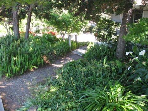 1510 E Tuolumne Rd, Turlock, CA 95382 photo 26