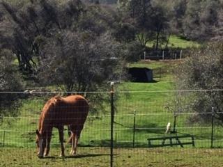4195 Chatee Ln, Rescue, CA 95672 photo 25