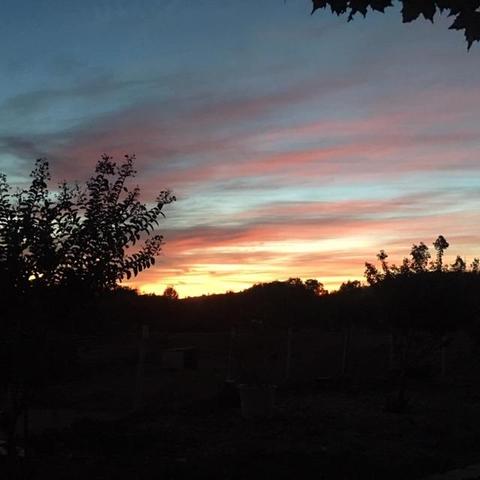 4195 Chatee Ln, Rescue, CA 95672 photo 32