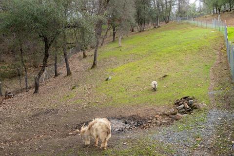 3559 Mining Brook Rd, Placerville, CA 95667 photo 37