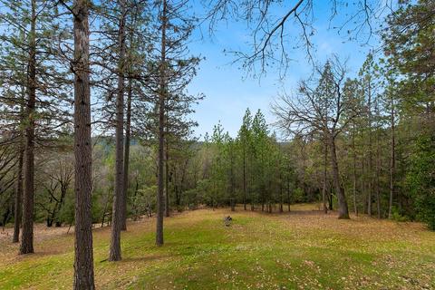 4021 Nugget Ln, Placerville, CA 95667 photo 38