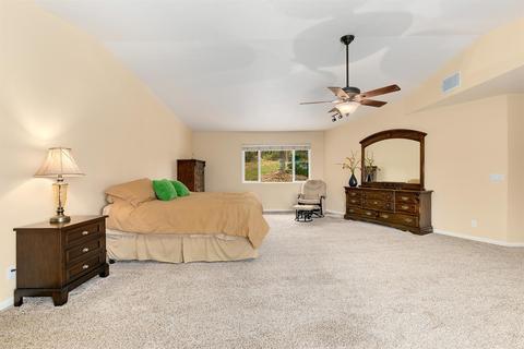 4021 Nugget Ln, Placerville, CA 95667 photo 24