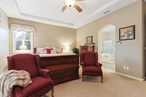 519 W Santos Ave, Ripon, CA 95366 photo 34