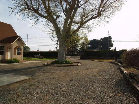 8625 Lander Ave, Hilmar, CA 95324 photo 5