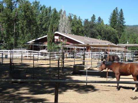 17499 Smokey River Dr, Sonora, CA 95370 photo 30