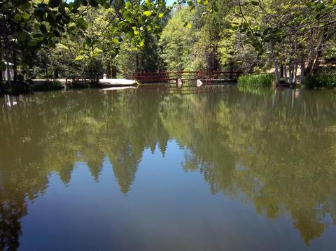17499 Smokey River Dr, Sonora, CA 95370 photo 6