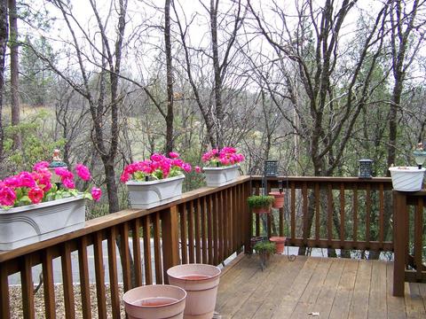 17499 Smokey River Dr, Sonora, CA 95370 photo 5