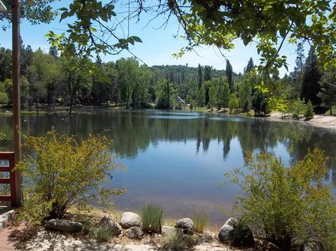 17499 Smokey River Dr, Sonora, CA 95370 photo 28