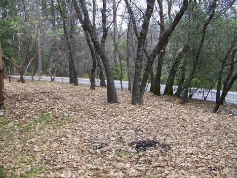 17499 Smokey River Dr, Sonora, CA 95370 photo 20