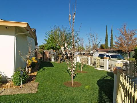 1109 Shasta Ave, Modesto, CA 95358 photo 6
