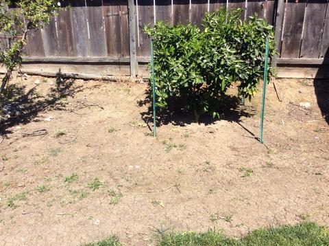 2245 Beachwood, Merced, CA 95348 photo 16