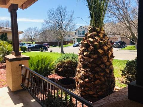 640 Skimmer Dr, Patterson, CA 95363 photo 4
