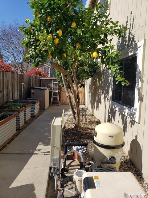 8424 Lost River Ct, Antelope, CA 95843 photo 30