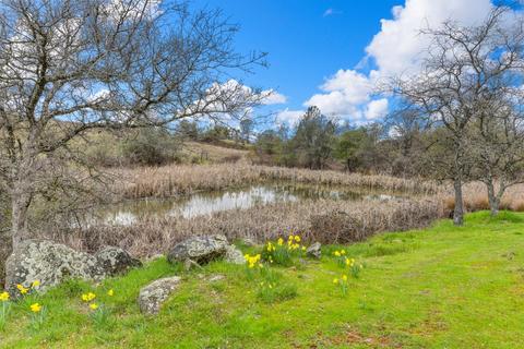 15345 Perimeter Rd, Grass Valley, CA 95949 photo 13