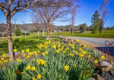 15345 Perimeter Rd, Grass Valley, CA 95949 photo 84