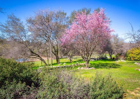 15345 Perimeter Rd, Grass Valley, CA 95949 photo 21