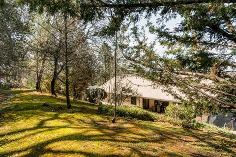 4111 Brent Ct, Placerville, CA 95667 photo 31
