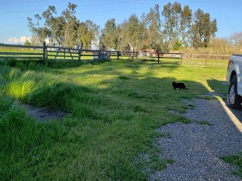 10400 Lowell St, Elverta, CA 95626 photo 7