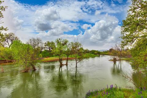 200 Toyon Ln, Winters, CA 95694 photo 37
