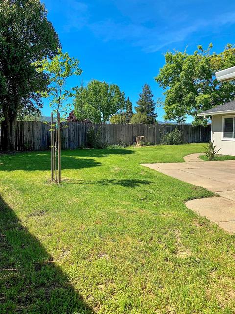 407 Pear Pl, Winters, CA 95694 photo 27