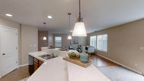 17393 Pheasant Downs Rd, Lathrop, CA 95330 photo 10