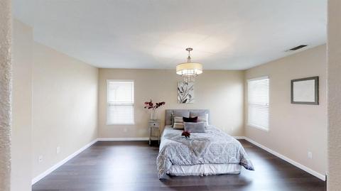 17393 Pheasant Downs Rd, Lathrop, CA 95330 photo 29