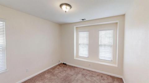 17393 Pheasant Downs Rd, Lathrop, CA 95330 photo 37