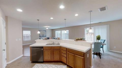 17393 Pheasant Downs Rd, Lathrop, CA 95330 photo 11