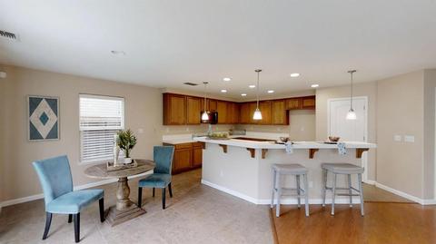 17393 Pheasant Downs Rd, Lathrop, CA 95330 photo 4