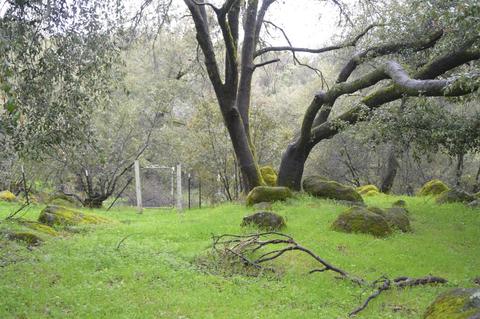 3121 Sand Ridge Rd, Placerville, CA 95667 photo 23