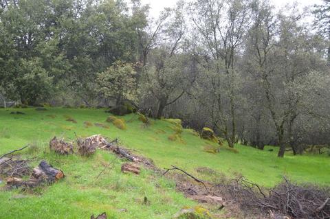 3121 Sand Ridge Rd, Placerville, CA 95667 photo 20