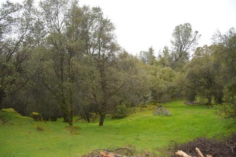 3121 Sand Ridge Rd, Placerville, CA 95667 photo 21