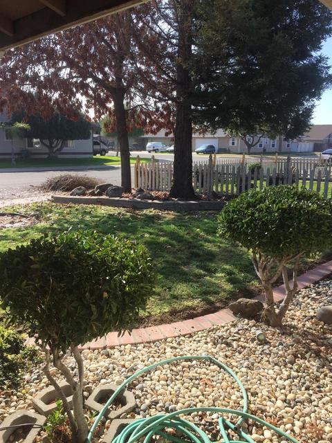 2853 Alphonse Dr, Ceres, CA 95307 photo 26