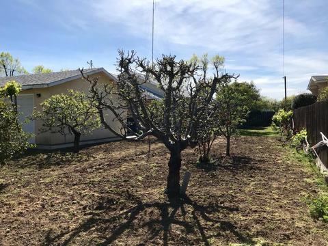 374 7th St, Gustine, CA 95322 photo 22