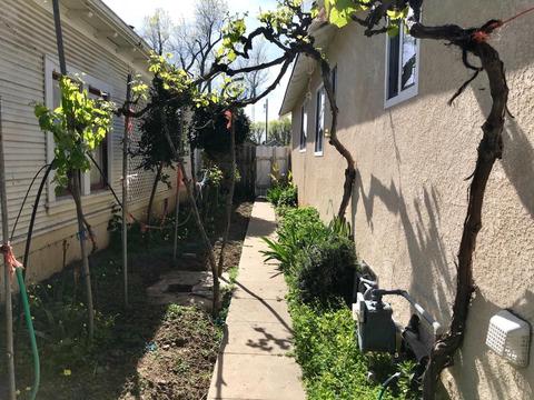 374 7th St, Gustine, CA 95322 photo 24
