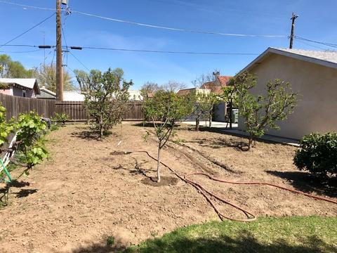 374 7th St, Gustine, CA 95322 photo 19