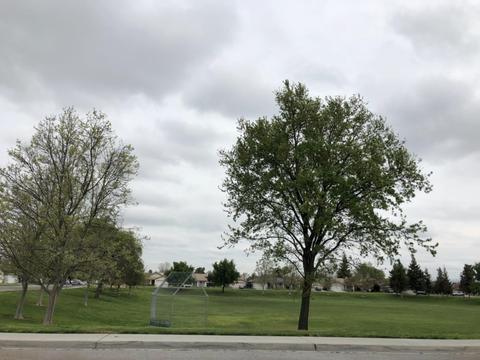 950 Norman Dr, Manteca, CA 95336 photo 46
