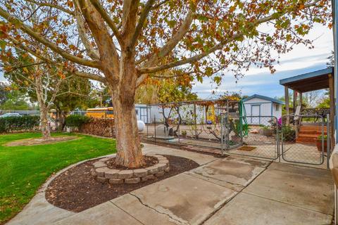 31415 S Koster Rd, Tracy, CA 95304 photo 32