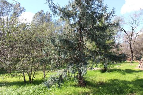 4180 Barton Rd, Loomis, CA 95650 photo 34