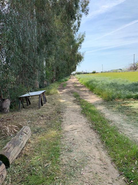 9533 E Belmont, Sanger, CA 93657 photo 2