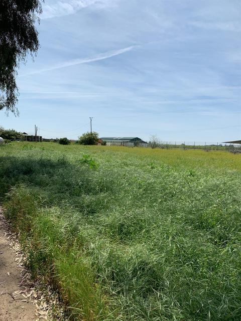 9533 E Belmont, Sanger, CA 93657 photo 3
