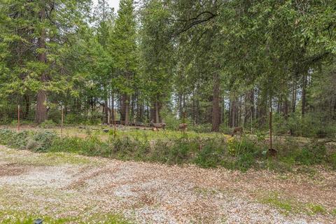 18835 Wildcat Way, Volcano, CA 95689 photo 50